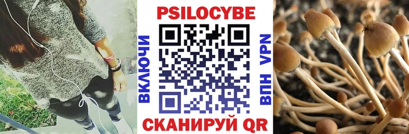 Галлюциногенные грибы Magic Shrooms  Истра 